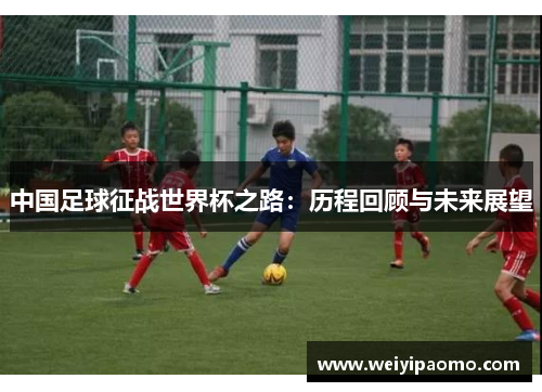 中国足球征战世界杯之路：历程回顾与未来展望