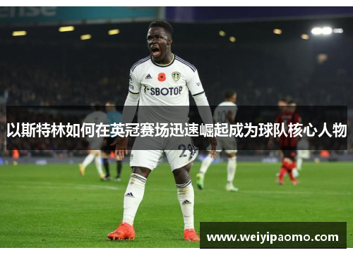 以斯特林如何在英冠赛场迅速崛起成为球队核心人物