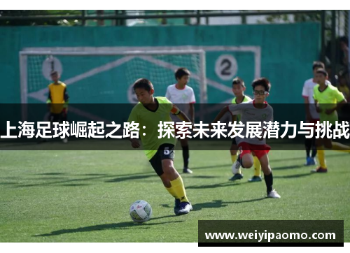 上海足球崛起之路：探索未来发展潜力与挑战
