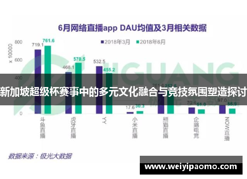 新加坡超级杯赛事中的多元文化融合与竞技氛围塑造探讨